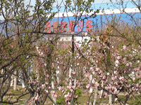 ̫�O�²����O(sh��)�乫˾���쾰ɫ