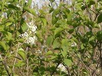 ̫�O�²����O(sh��)�乫˾���쾰ɫ